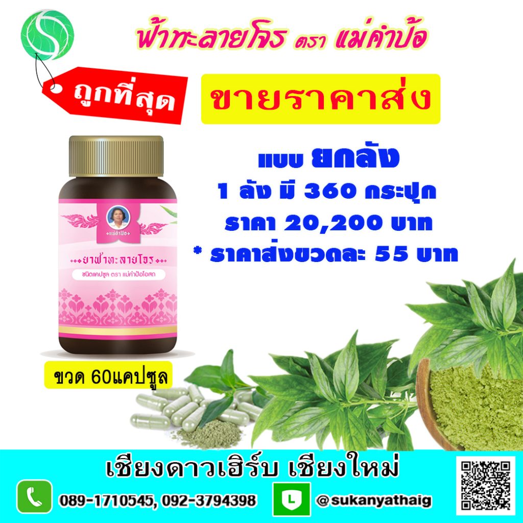 thaiggroup